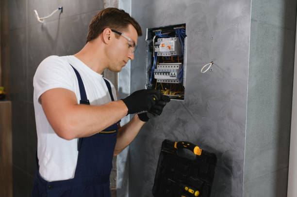Best 24-Hour Electrician  in Cassopolis, MI